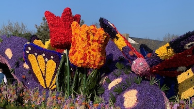 Holland med Blomstert�get, 15 april